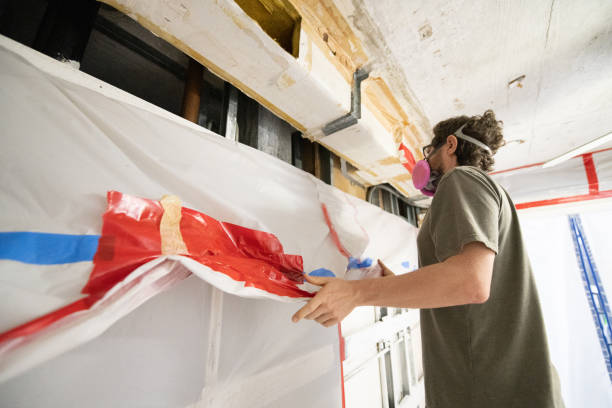 Best Mold Prevention Services  in Egypt, AL