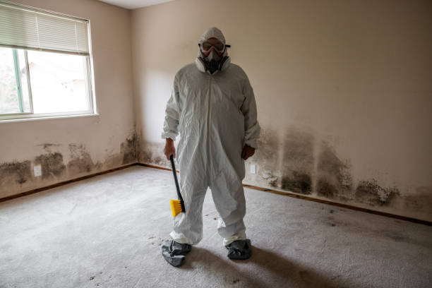 Best Black Mold Removal  in Egypt, AL