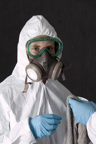Best Mold Damage Restoration  in Egypt, AL